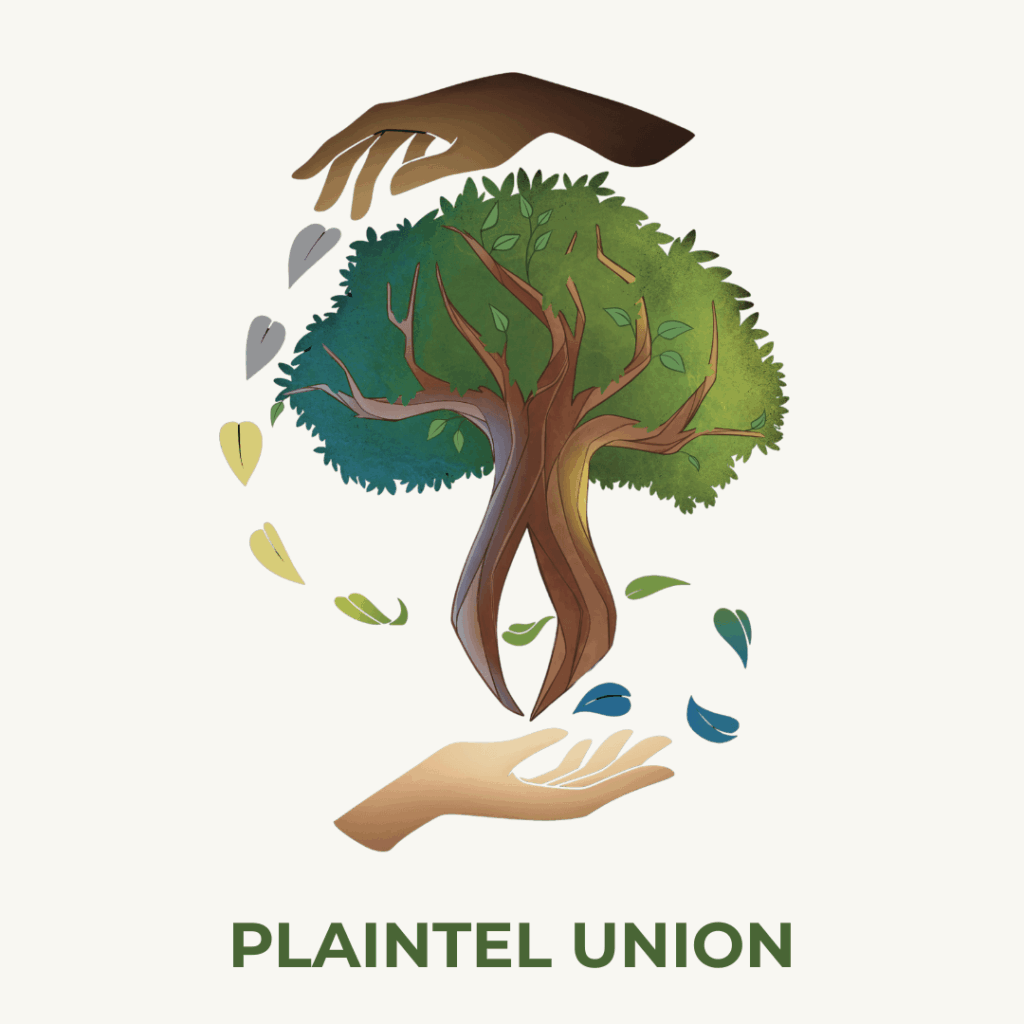 Plaintel Union